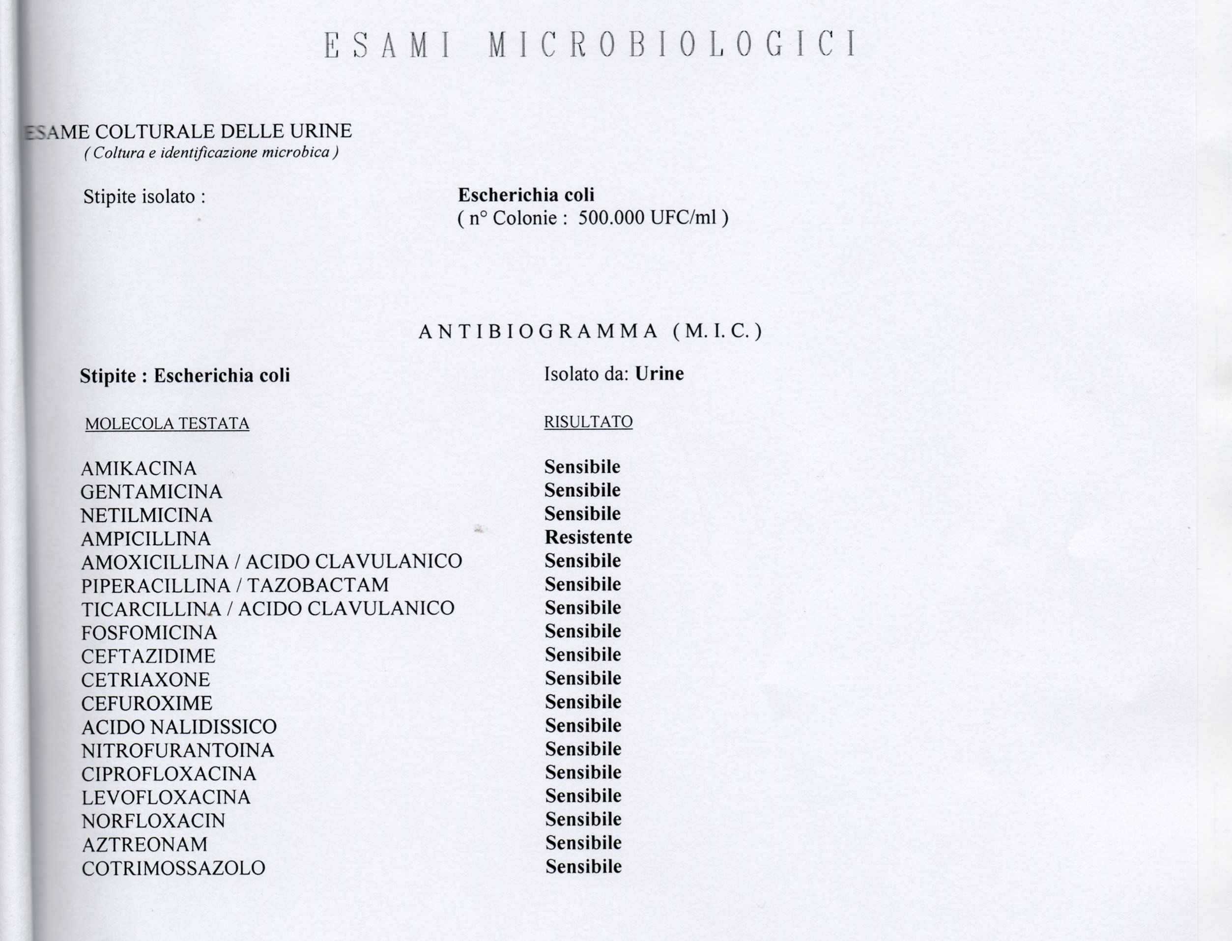 analisi 2.jpg