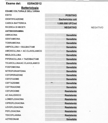foto 3.jpg