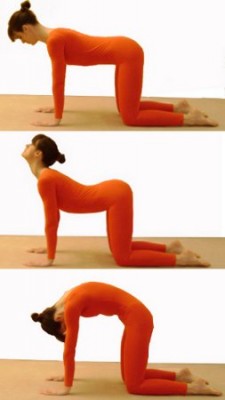 yoga1.jpeg