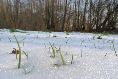 DSC_2062.JPG