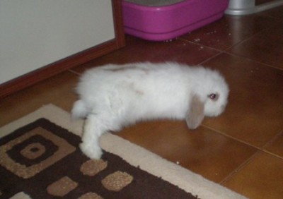 bijou1.JPG