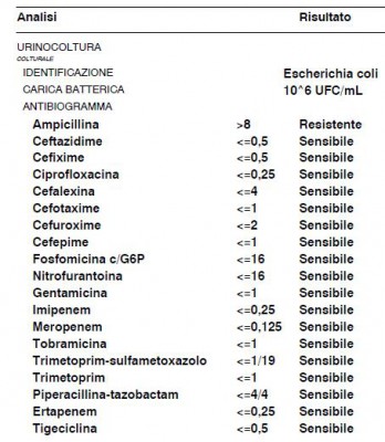 15_3.JPG (57.25 KiB) Osservato 3099 volte 15_3.JPG