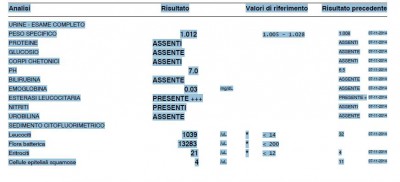 21_3.JPG (55.71 KiB) Osservato 3099 volte 21_3.JPG