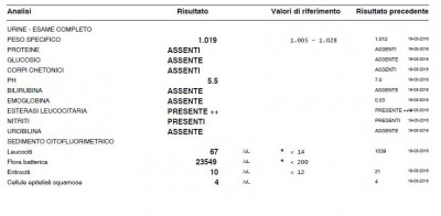 09_04.JPG (52.14 KiB) Osservato 3099 volte 09_04.JPG