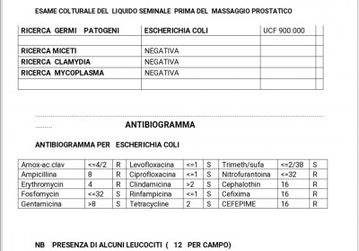 inbound6510760321365281295.jpg (179.86 KiB) Osservato 7224 volte inbound6510760321365281295.jpg