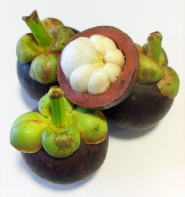 566px-Mangosteen.jpg