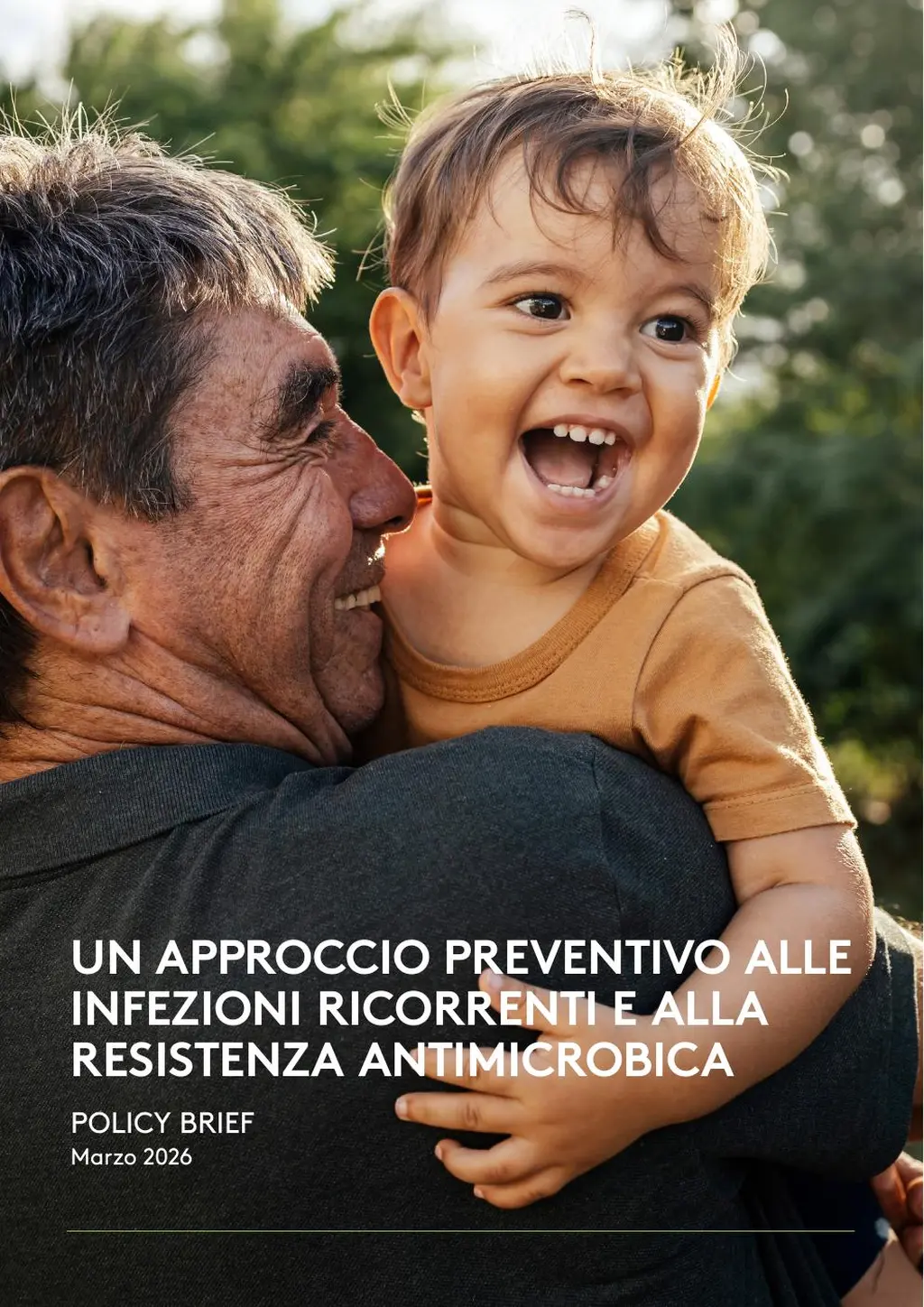 AMR Policy Brief IT10 split
