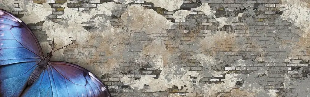 Schmetterling auf Mauer